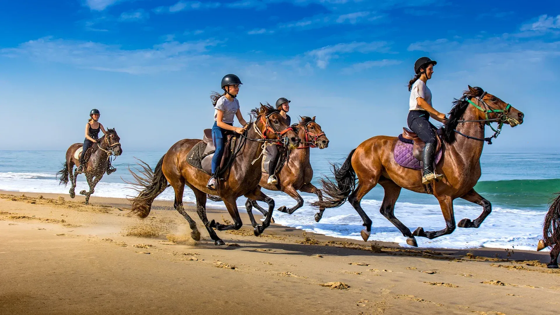 Balade à cheval sur la plage — photo 1