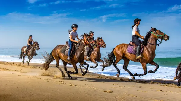 Balade à cheval sur la plage